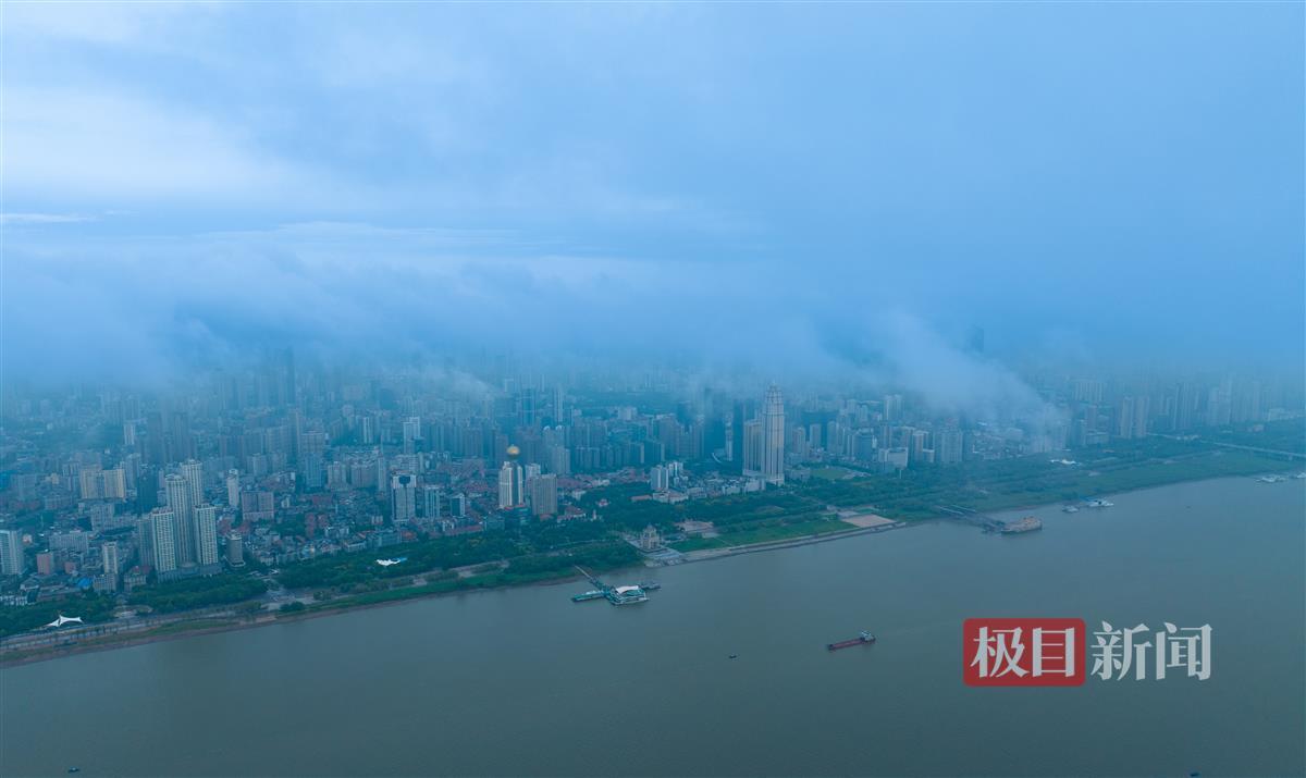 有森林游戏的游戏平台