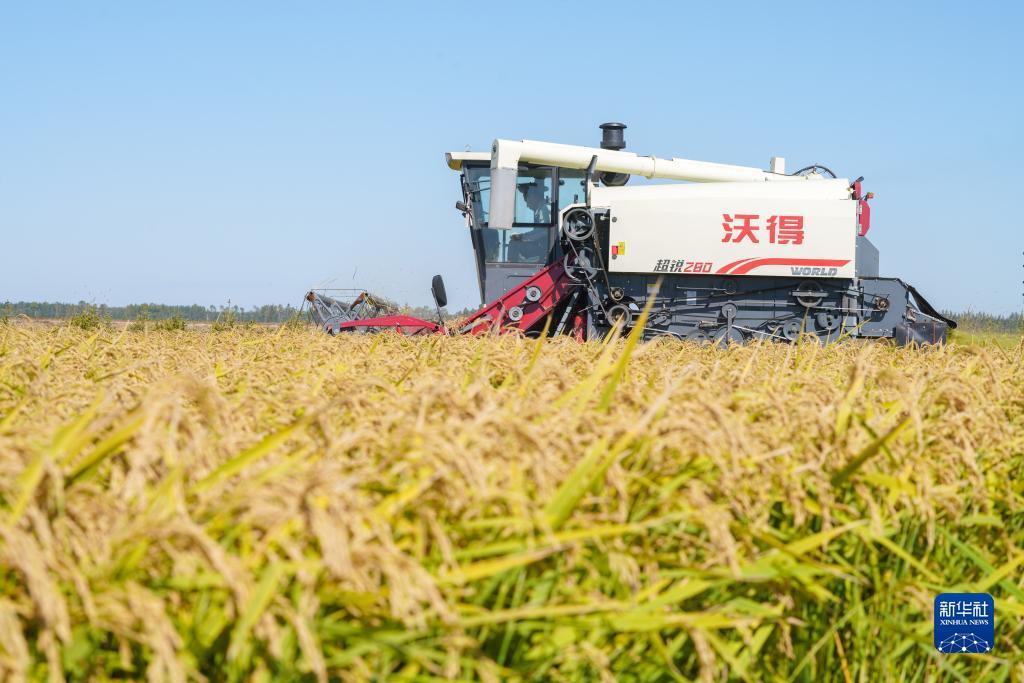 最新皇冠登陆